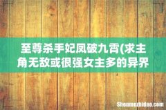 求主角无敌或很强女主多的异界小说，不要废材流 至尊杀手妃凤破九霄