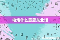 电炮什么意思东北话