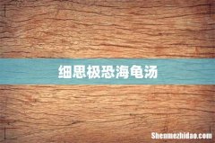 细思极恐海龟汤
