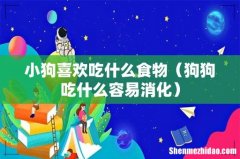 狗狗吃什么容易消化 小狗喜欢吃什么食物