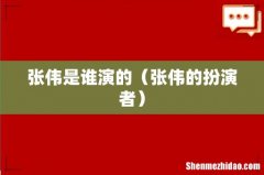 张伟的扮演者 张伟是谁演的