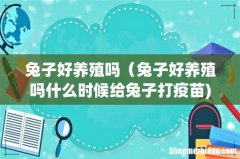 兔子好养殖吗（兔子好养殖吗什么时候给兔子打疫苗)
