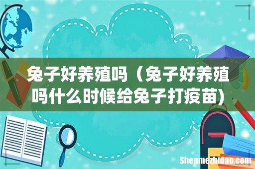 兔子好养殖吗(兔子好养殖吗什么时候给兔子打疫苗)