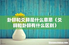 爻辞和卦辞有什么区别 卦辞和爻辞是什么意思