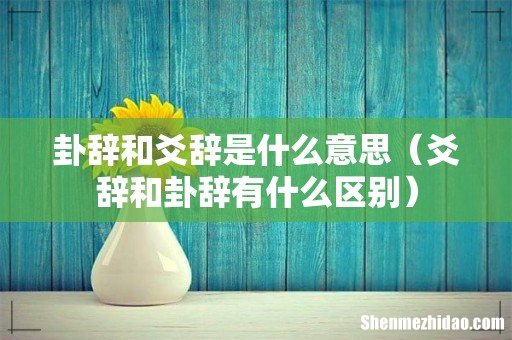 爻辞和卦辞有什么区别 卦辞和爻辞是什么意思