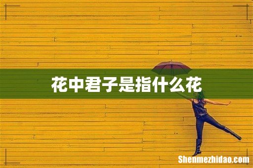 花中君子是指什么花