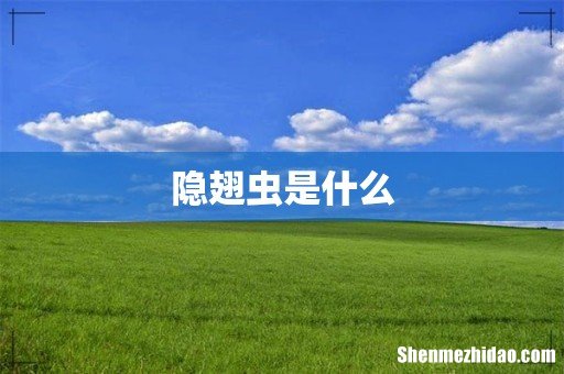 隐翅虫是什么