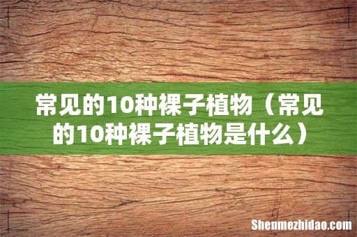 常见的10种裸子植物是什么 常见的10种裸子植物