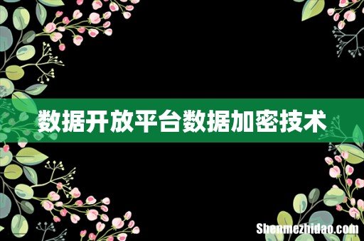 数据开放平台数据加密技术