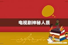 电视剧神秘人质