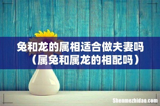 属兔和属龙的相配吗 兔和龙的属相适合做夫妻吗
