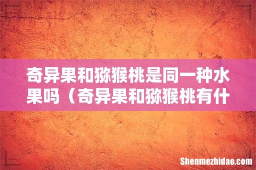 奇异果和猕猴桃有什么分别 奇异果和猕猴桃是同一种水果吗