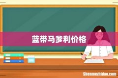 蓝带马爹利价格