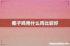 椰子鸡用什么鸡比较好