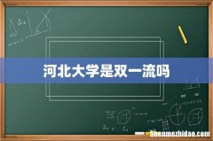 河北大学是双一流吗
