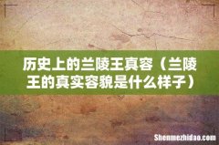 兰陵王的真实容貌是什么样子 历史上的兰陵王真容
