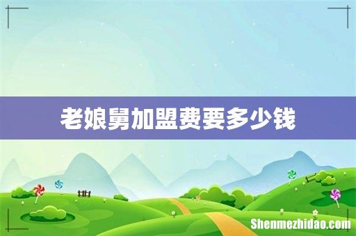 老娘舅加盟费要多少钱