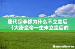 大唐皇帝一生未立皇后的原因 唐代宗李豫为什么不立皇后