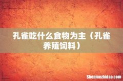 孔雀养殖饲料 孔雀吃什么食物为主