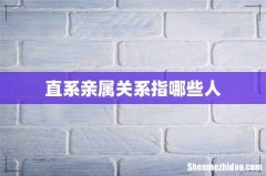 直系亲属关系指哪些人