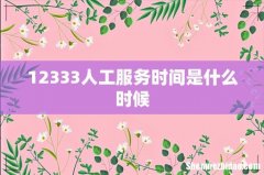 12333人工服务时间是什么时候