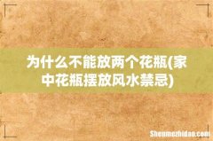 家中花瓶摆放风水禁忌 为什么不能放两个花瓶