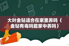 金钻有毒吗能家中养吗 大叶金钻适合在家里养吗