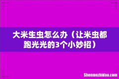 让米虫都跑光光的3个小妙招 大米生虫怎么办
