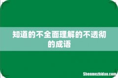 知道的不全面理解的不透彻的成语