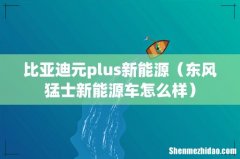 东风猛士新能源车怎么样 比亚迪元plus新能源