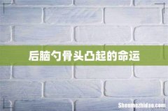 后脑勺骨头凸起的命运
