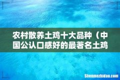 中国公认口感好的最著名土鸡品种 农村散养土鸡十大品种