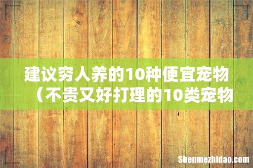 不贵又好打理的10类宠物 建议穷人养的10种便宜宠物