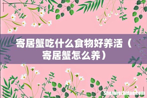 寄居蟹怎么养 寄居蟹吃什么食物好养活