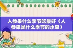 人参果是什么季节的水果 人参果什么季节吃最好