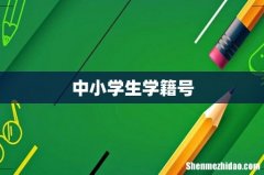 中小学生学籍号