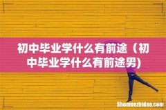 初中毕业学什么有前途（初中毕业学什么有前途男)