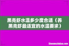 养黑壳虾最适宜的水温要求 黑壳虾水温多少度合适