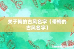 带梅的古风名字 关于梅的古风名字