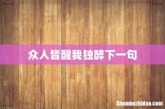 众人皆醒我独醉下一句