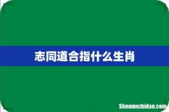 志同道合指什么生肖