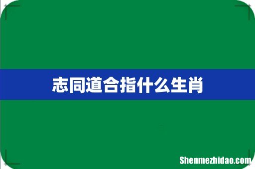 志同道合指什么生肖