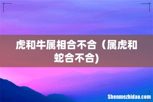 虎和牛属相合不合(属虎和蛇合不合)