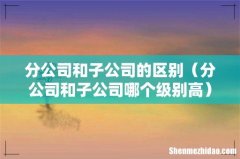 分公司和子公司哪个级别高 分公司和子公司的区别