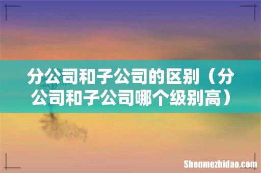 分公司和子公司哪个级别高 分公司和子公司的区别