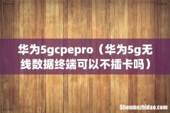 华为5g无线数据终端可以不插卡吗 华为5gcpepro