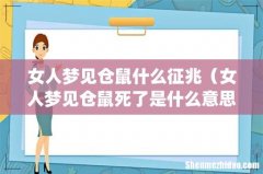 女人梦见仓鼠什么征兆（女人梦见仓鼠死了是什么意思)