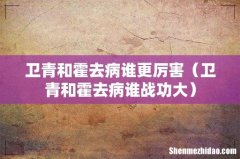 卫青和霍去病谁战功大 卫青和霍去病谁更厉害