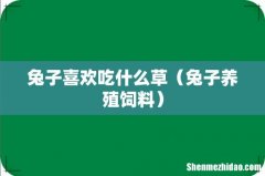 兔子养殖饲料 兔子喜欢吃什么草