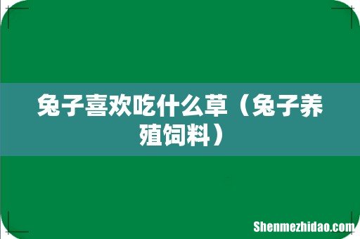 兔子养殖饲料 兔子喜欢吃什么草